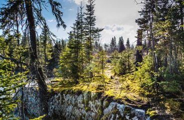 Spring Into Wellness