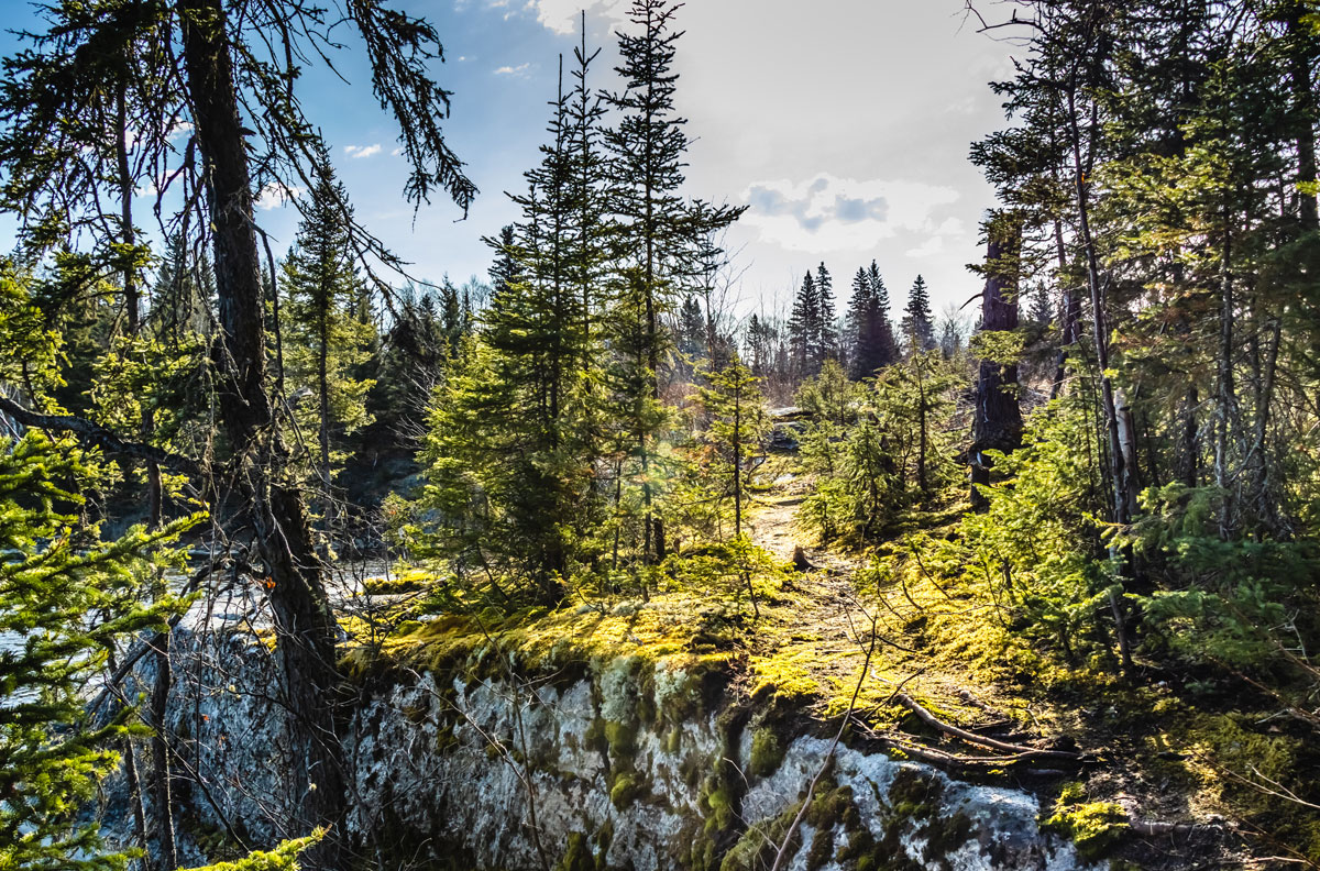 Spring Into Wellness